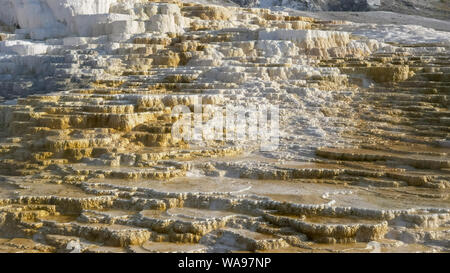 Close up de terrasses à Mammoth Hot Springs dans le parc national de Yellowstone Banque D'Images