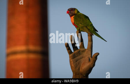 Un oiseau sur la main. Un oiseau indigène australienne la Lorikeet se trouve perché sur les doigts d'une statue à Melbourne en Australie. Banque D'Images