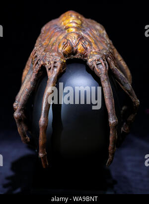 De 0001 sous embargo mardi 20 août un facehugger 'effets spéciaux' dans le film Alien 1979 (estimation ? ?50-70,000), au cours d'un essai de la prochaine vente aux enchères des souvenirs de cinéma et de télévision à la prop Store siège social près de Rickmansworth. Banque D'Images