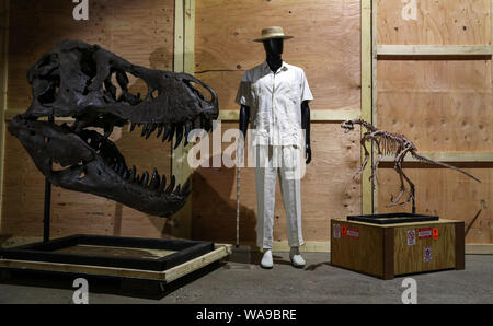 De 0001 sous embargo mardi 20 août John Hammond's costume porté par Richard Attenborough en 1993 dans le film Jurassic Park (estimation ? ?15-20,000) (au centre) aux côtés d'un monté 5 pieds crâne de Tyrannosaurus rex du film 2018 : Monde Jurrasic royaume déchu (estimation ? ?20 -30 000), au cours d'un essai de la prochaine vente aux enchères des souvenirs de cinéma et de télévision à la prop Store siège social près de Rickmansworth. Banque D'Images