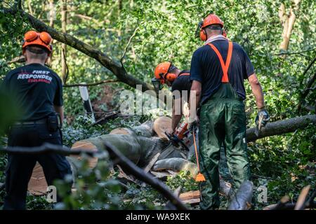 Langen, Allemagne. Août 19, 2019. Vu que les arbres renversés travailleurs bloquer la princesse Margaret Avenue à l'ouest de la ville. Le soir avant la tempête avait frappé la ville. Crédit : Frank Rumpenhorst/dpa/Alamy Live News Banque D'Images