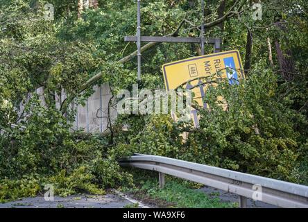 Langen, Allemagne. Août 19, 2019. La chute d'arbres et d'une enseigne se trouvent sur Prinzessin-Margaret-Allee dans l'ouest de la ville. Le soir avant la tempête avait frappé la ville. Crédit : Frank Rumpenhorst/dpa/Alamy Live News Banque D'Images