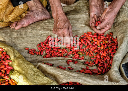 Old man selling vietnamiens des piments à Bac Ha, au Vietnam. Banque D'Images