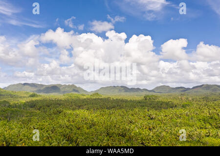 Collines avec forêt tropicale, vue aérienne. Paysage tropical avec la jungle. Climat tropical, nature des Philippines. Terrain vallonné et ciel avec de grands nuages. Banque D'Images
