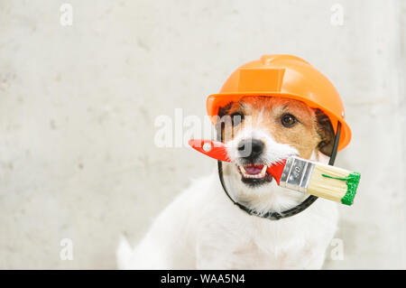 En tant que chien funny house painter avec paintbrush contre mur en béton Banque D'Images