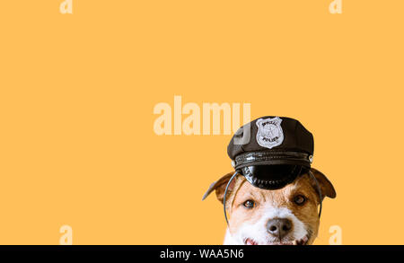 Funny dog wearing policier casquette comme chien de travail concept Banque D'Images