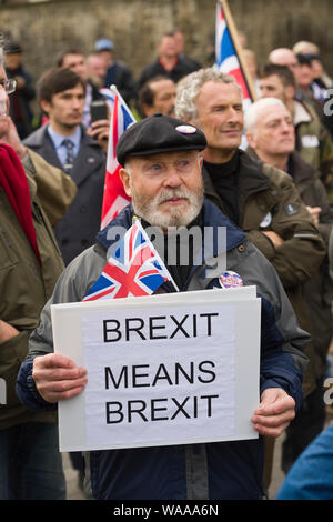 Brexit Pro de protestation, à l'extérieur de la Chambre des communes, pour marquer les 5 mois depuis le Royaume-Uni a voté à quitter l'Union européenne. Londres, Grande-Bretagne. Banque D'Images
