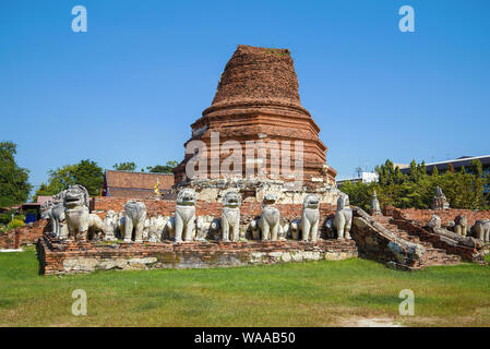 Vue sur les ruines du Wat Tammicarat stupa bouddhiste de temple sur une journée ensoleillée. Ayutthaya, Thaïlande Banque D'Images