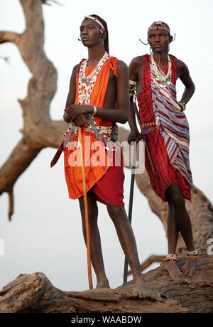 Guerrier massaï avec coiffe traditionnelle et collier en Loitoktok, Parc National d'Amboseli, Kenya Banque D'Images