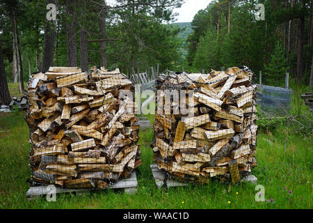 Des tas de bois dans la forêt en Norvège Banque D'Images
