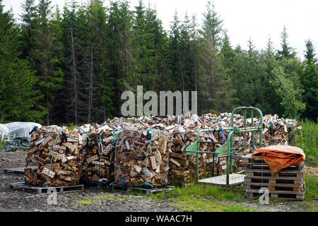 Bois de chauffage en forêt en Norvège Banque D'Images