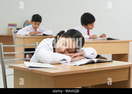 Girl sleeping in classroom rest of students studying Stock Photo