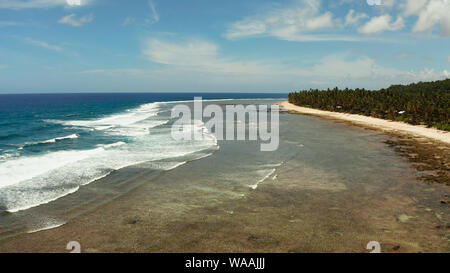 Les vagues roulent sur les récifs coralliens et la plage à marée basse. Siargao, Philippines. Billet d'été et vacances. Banque D'Images