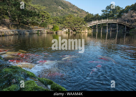 Carpe japonaise et pont de lune croissant au Ritsurin Garden au Japon Banque D'Images