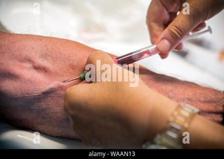 Hohen Wangelin, Allemagne. 25 Juin, 2019. Veronica infirmière Timm prend des échantillons de sang de Günter Ludwig patient dans une salle de consultation dans la pratique de la 74-year-old country médecin Lothar Kruse. Le médecin généraliste a été le traitement des patients de la région dans son cabinet à Hohen Wangelin pendant 40 ans. À la fin de 2019, Kruse veut renoncer à sa pratique, mais n'a jusqu'à présent tenté d'obtenir un successeur. Credit : Jens Büttner/dpa-Zentralbild/ZB/dpa/Alamy Live News Banque D'Images
