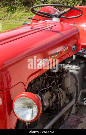 Un vintage rouge Massey Ferguson tracteur agricole d'un pays à apparaître sur l'afficheur. Banque D'Images