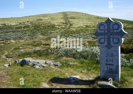 Inscrivez-vous sur saint Olav way en zone de montagne du parc national de Dovre en Norvège Banque D'Images