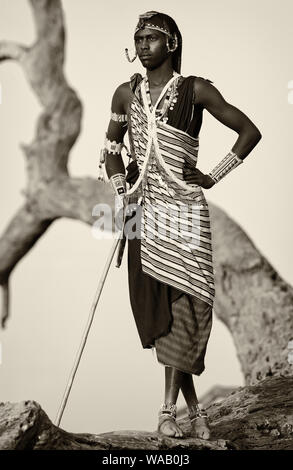 Guerrier massaï avec coiffe traditionnelle et collier en Loitoktok, Parc National d'Amboseli, Kenya Banque D'Images