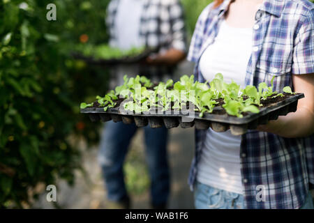 Deux jeunes femmes travaillant dans les serres et planter des graines. Banque D'Images