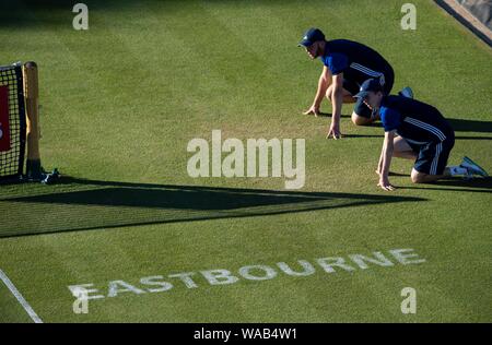 Ball garçons en attente à net - Nature Valley International 2018 - Vendredi, 29 juin, 2018 - simple messieurs demi-finale - Le Devonshire Park, Eastbourne, Angleterre Banque D'Images