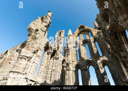 Vue détaillée de l'abbaye de Whitby, Yorkshire, Angleterre, Royaume-Uni Banque D'Images