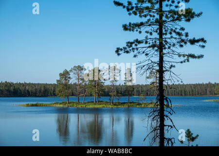 Île avec des arbres dans Luonaja sur un beau lac avec summerday silhouette d'arbre en premier plan, le Parc National de Finlande Hossa Banque D'Images