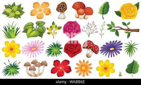 Grand groupe d'objets isolés - thème fleurs illustration Illustration de Vecteur