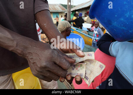 Le nombre de pêcheur et des poissons dans les métiers de l'argent d'un village traditionnel de pêcheurs au lac Victoria, Kenya Banque D'Images