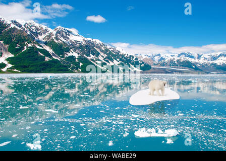 Jingwen records blanc dérive sur une banquise. L'écosystème, l'environnement et le réchauffement de la concept. Banque D'Images