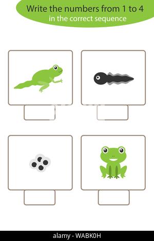 Jeu visuel avec le cycle de vie de la grenouille pour enfants, tâche éducative pour le développement de la pensée logique, de l'activité Feuille d'âge préscolaire, écrire des nombres Illustration de Vecteur