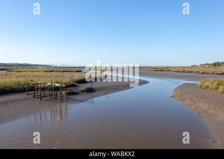 Rizières dans la région de l'Alentejo, Portugal Banque D'Images