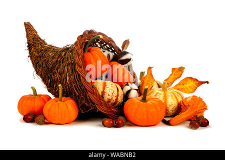 Thanksgiving cornucopia rempli de citrouilles isolé sur fond blanc Banque D'Images