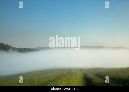 Tôt le matin. Le brouillard s'étend sur la vallée. Banque D'Images