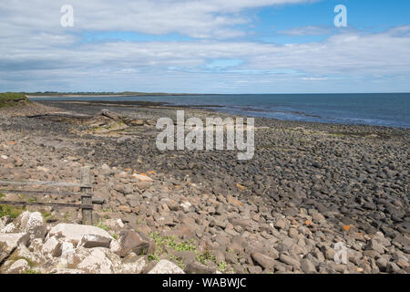 La côte de Northumberland Rocheuses près de Château de Dunstanburgh, Alnwick, Northumberland, Angleterre Banque D'Images