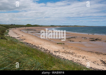 Côte de sable près de Northumberland Château de Dunstanburgh, Alnwick, Northumberland, Angleterre Banque D'Images