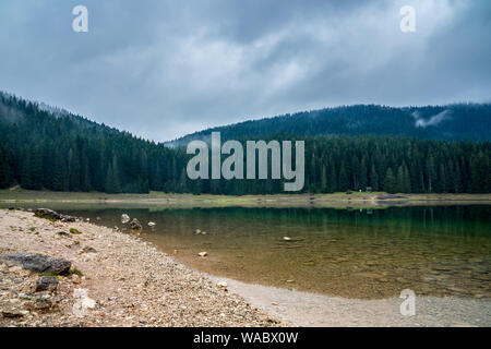 Le Monténégro, nettoyer l'eau claire du lac noir entouré de forêt en atmosphère brumeuse dans la soirée se reflétant dans le lac miroitant dans durmito surface Banque D'Images