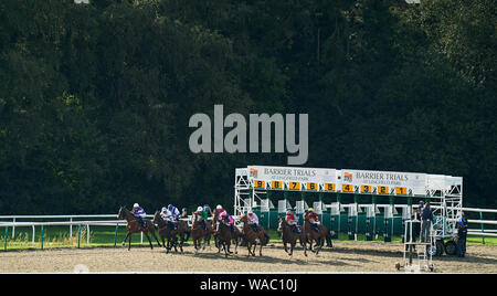 La pause de la cale de départ au cours de la chaîne Sky Sports Racing sur Virgin 535 Handicap à Lingfield Park Racecourse. Banque D'Images