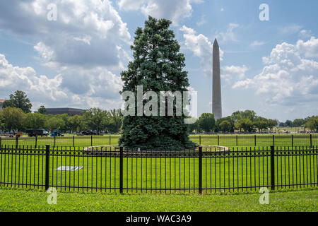 L'arbre de Noël dans le parc dans l'Ellipse Présidents domaine de la Maison Blanche à Washington DC. Montré au cours de l'été Banque D'Images