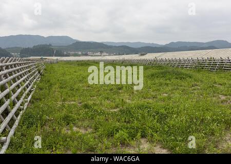 Rikuzentakata, au Japon. Août 19, 2019. Un énorme mur construit sur la mer le long de la côte pour protéger les Takata-Matsubara Memorial Park de Tsunami, sous-construction, où l'arbre de pin miracle est préservé en tant que survivant de la 2011 Tsunami. Le Memorial Park est construit par le Gouvernement du Japon et le gouvernement de la préfecture d'Iwate, de se souvenir des victimes du tremblement de terre de 2011, et comme un symbole de volonté forte pour la reconstruction. Le parc ouvrira son nouveau grand Moyen-Orient Japon Tsunami Museum le 22 septembre 2019, et l'ensemble de ses services au début de 2021. La ''Iwate : Media Tour Tohoku Banque D'Images