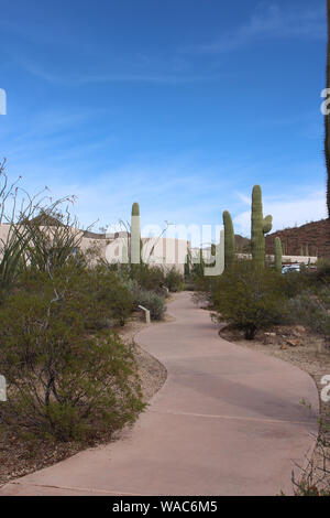 Le Cactus Discovery Trail sentier menant au Red Hills Visitor Centre à travers un paysage désertique de l'Arizona Banque D'Images