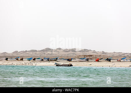 Les pêcheurs et leurs bateaux de pêche ancrés sur la mer et la côte entourée de Flying Sea Gull, Masirah Island, Oman Banque D'Images