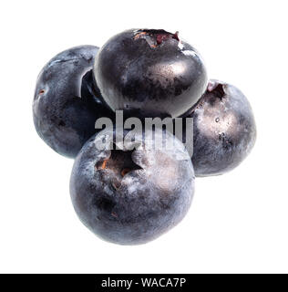 Peu de bleuets frais mûrs dentelle sur fond blanc Banque D'Images