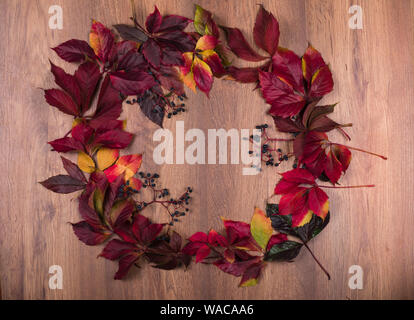 Guirlande de décoration lumineuse rouge, jaune et vert, feuilles de vignes sauvages d'partnercissus sur un fond de bois avec de l'espace pour le texte. Banque D'Images