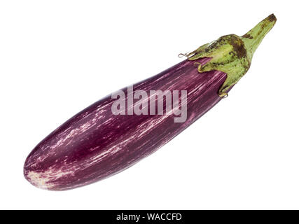 Frais mûrs rayé aubergine longue violette découpe sur fond blanc Banque D'Images