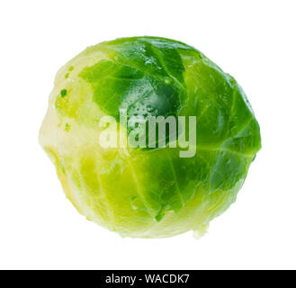 Chou de Bruxelles vert humide dentelle sur fond blanc Banque D'Images