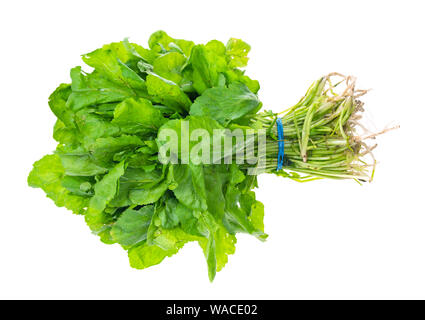 Offre groupée de produits frais bio herbe vert tsitsmati le cresson alénois (caucasien) sur fond blanc