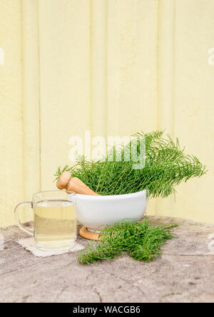 Groupe de plantes à base de l'Equisetum arvense prêle des champs prêle commune ou en mortier blanc et d'infusion de thé à côté, fond jaune. Banque D'Images