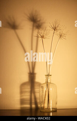 Tiges de plantes sèches dans une bouteille de verre transparent, debout sur une table près du mur. Banque D'Images