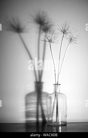 Tiges de plantes sèches dans une bouteille de verre transparent, debout sur une table près du mur. Banque D'Images