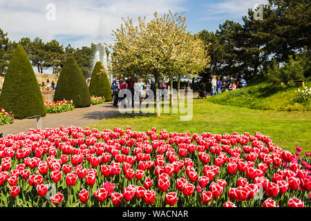 Keukenhof, Lisse, Pays-Bas - 18 Avril 2019 : l'avis de différents coins du parc de Keukenhof, le plus grand jardin de fleurs et de tulip park Banque D'Images
